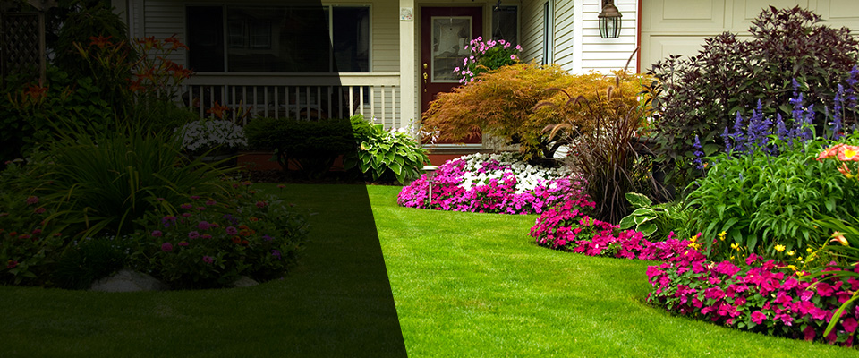 Maitland Landscapers