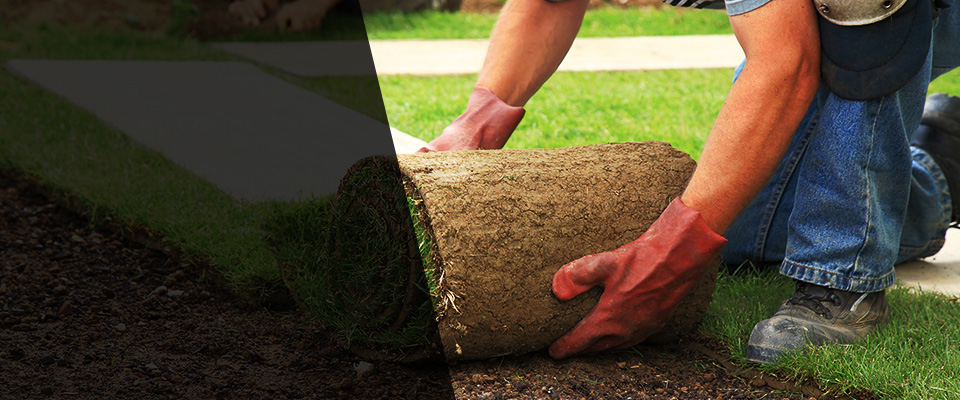 Maitland Landscapers
